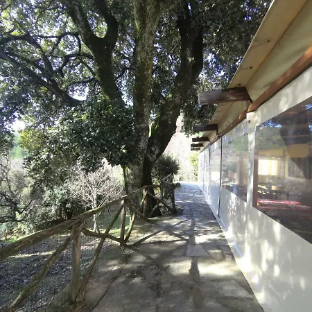 Agriturismo Il Riccio * Buti